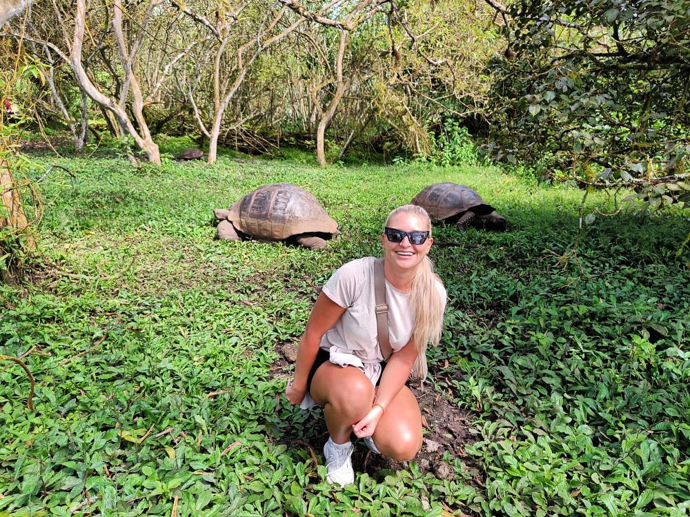 Kjempeskilpadder på Galapagosøyene