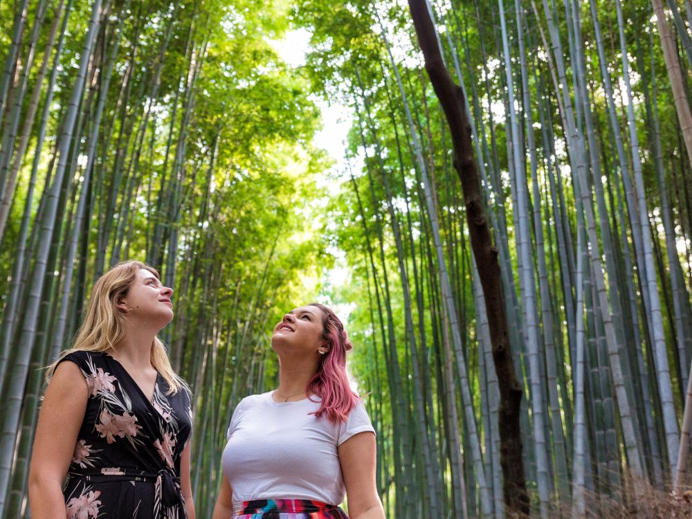 Bambusskog Kyoto