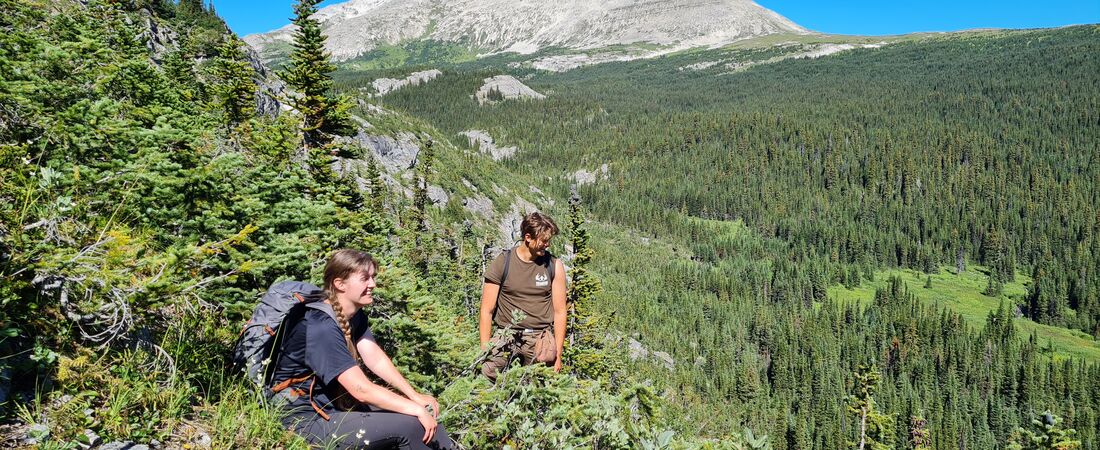 Canada Rocky Mountain Villmark