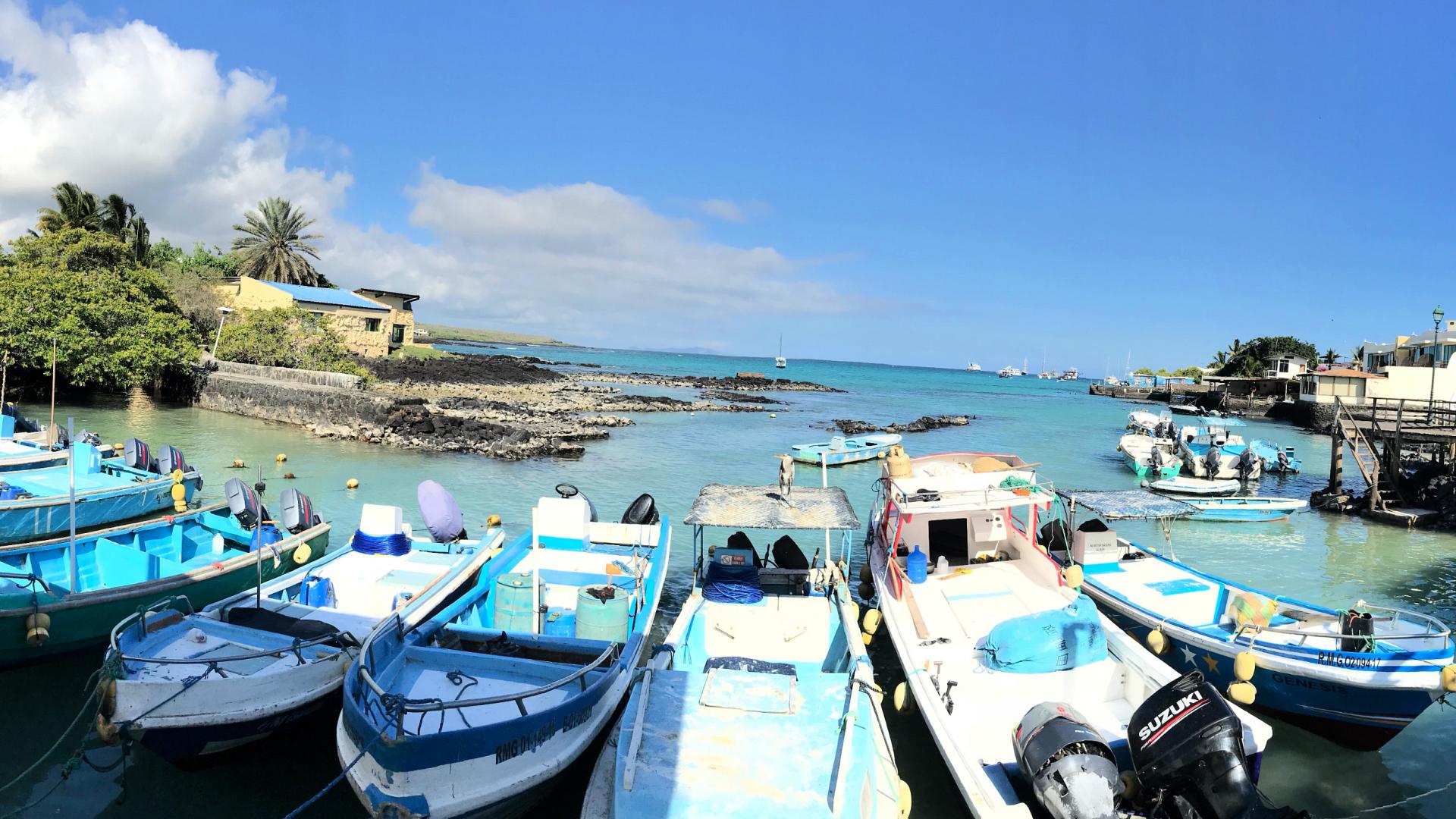 Galapagos rejser grupper for unge