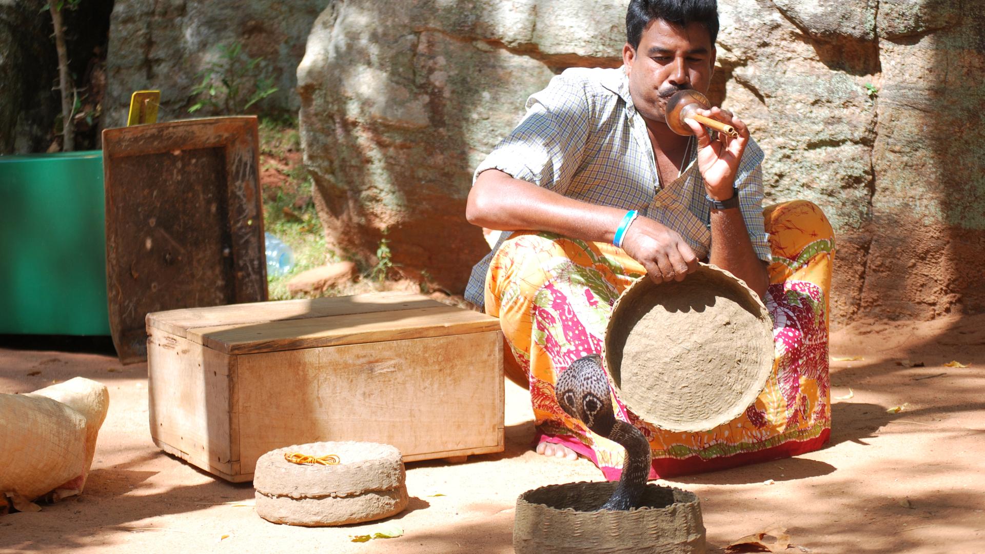 Løveklippen Sri Lanka