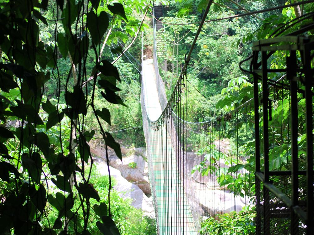 Hengebro i Monteverde