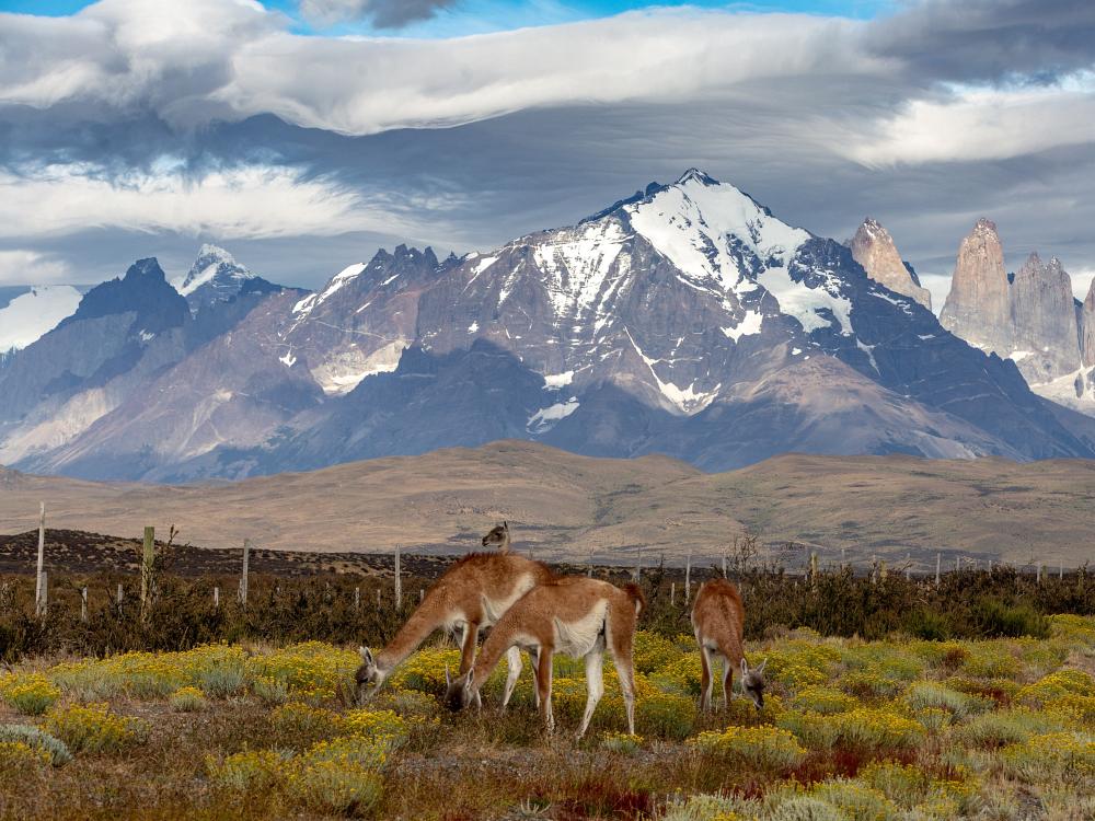 Fjellutsikt Patagonia 
