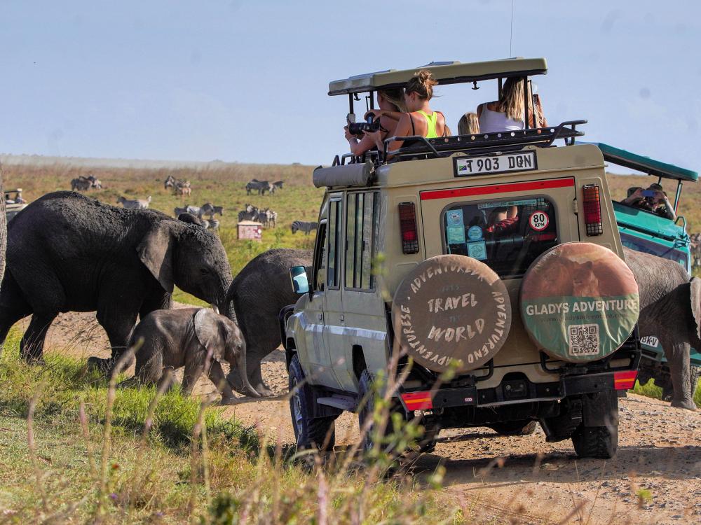 Safari i Ngorongoro-krateret