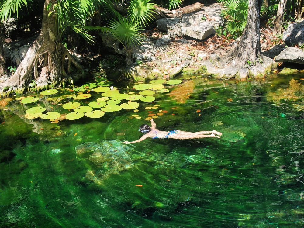 Snorkling i en kjølig cenote