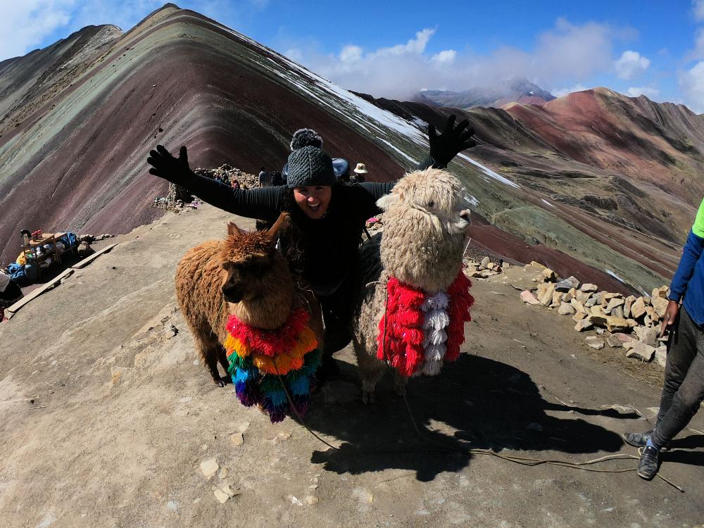 Alpakka på Rainbow Mountain