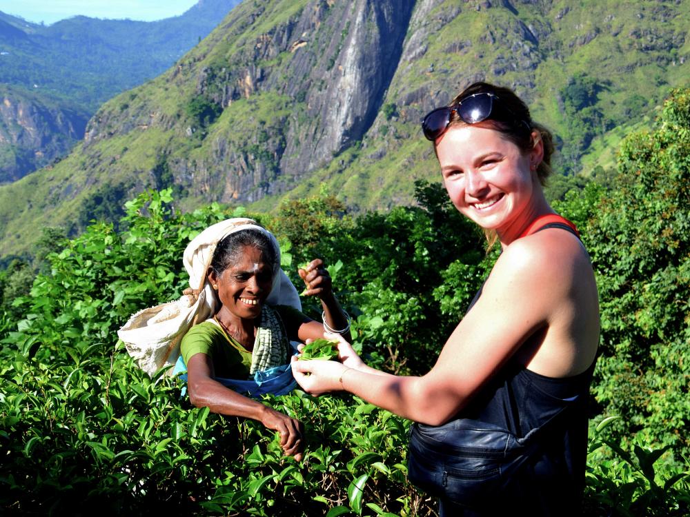 Besøk en teplantasje på Sri Lanka