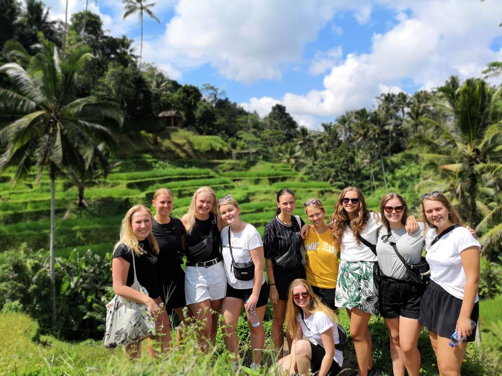 Risterrasser på Bali