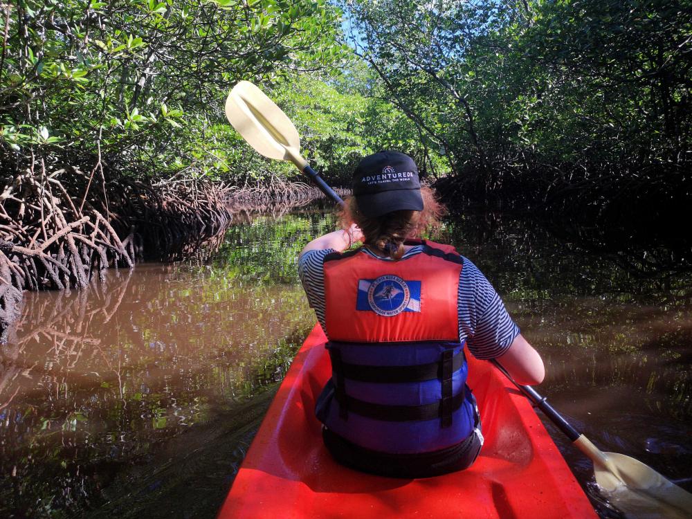 Kajakkpadling i mangroveskog
