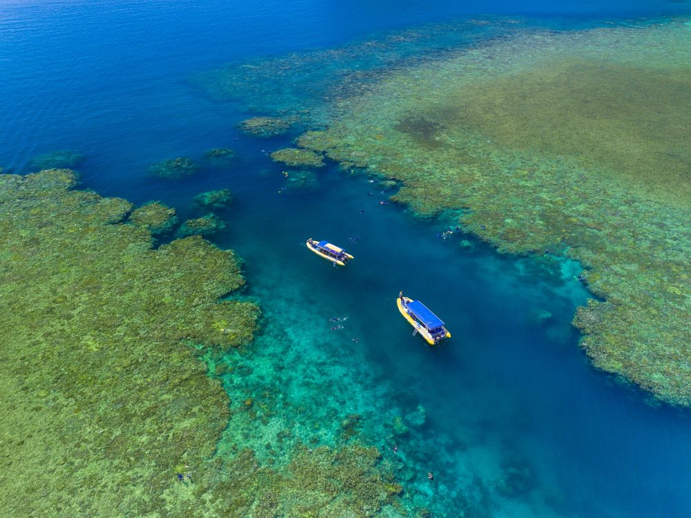 Snorkling på Whitsunday-øerne