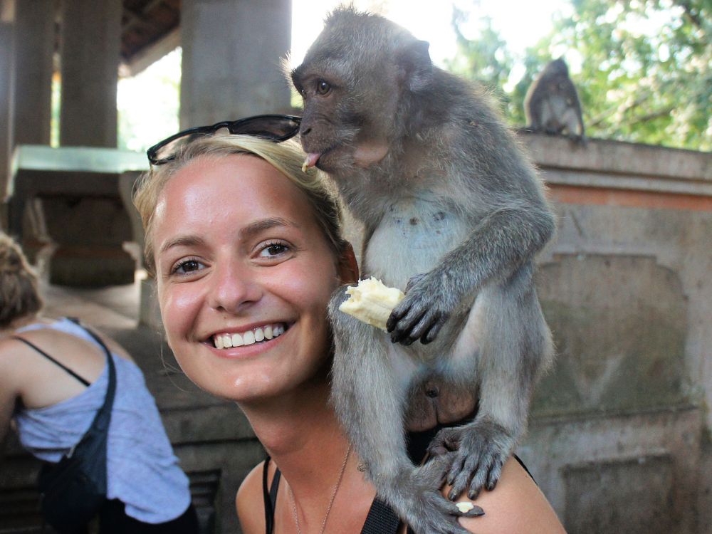 Besøk i Monkey Forest