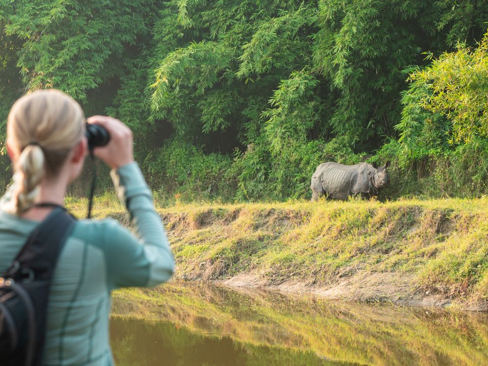 Safari i Chitwan
