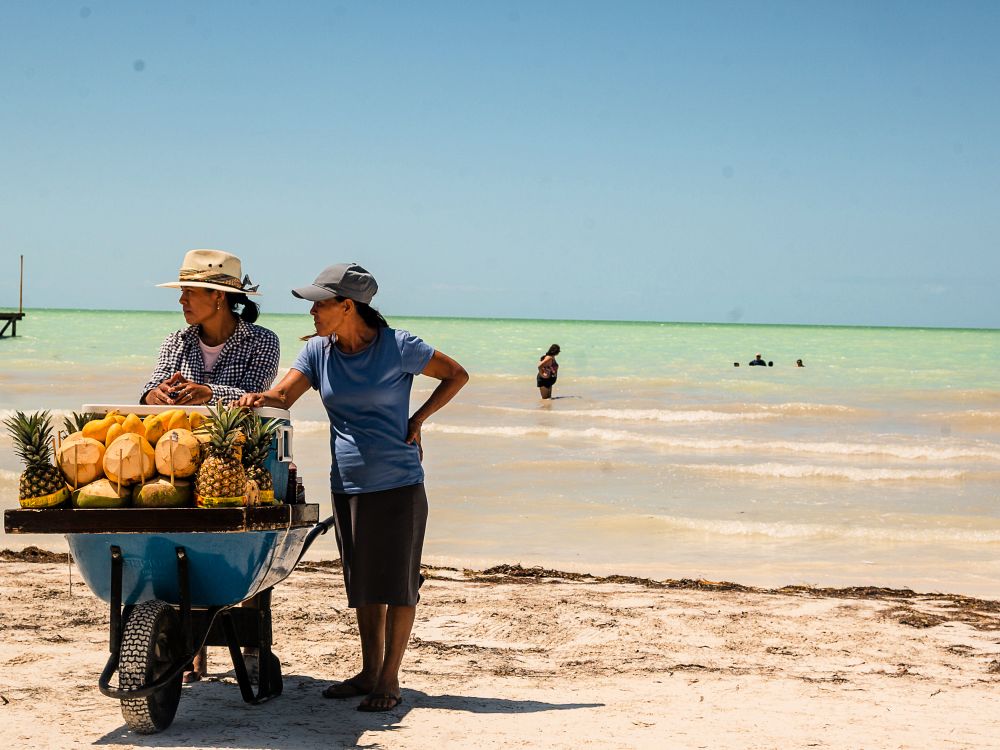 Ferske kokosnøtter på stranden