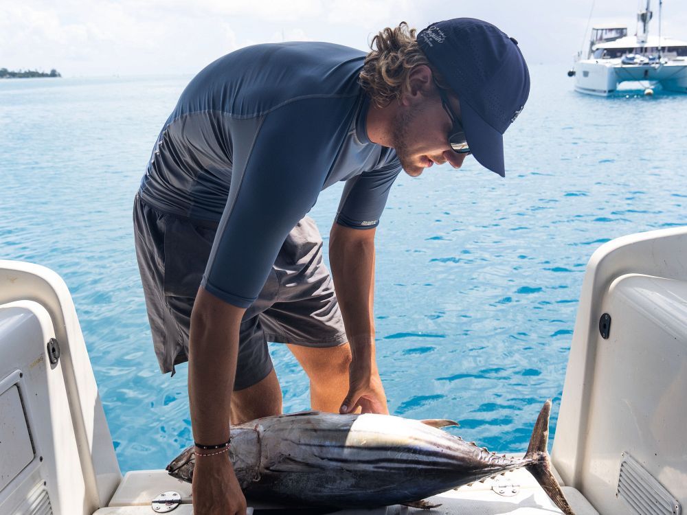 Kveldens meny = ferskfanget tun