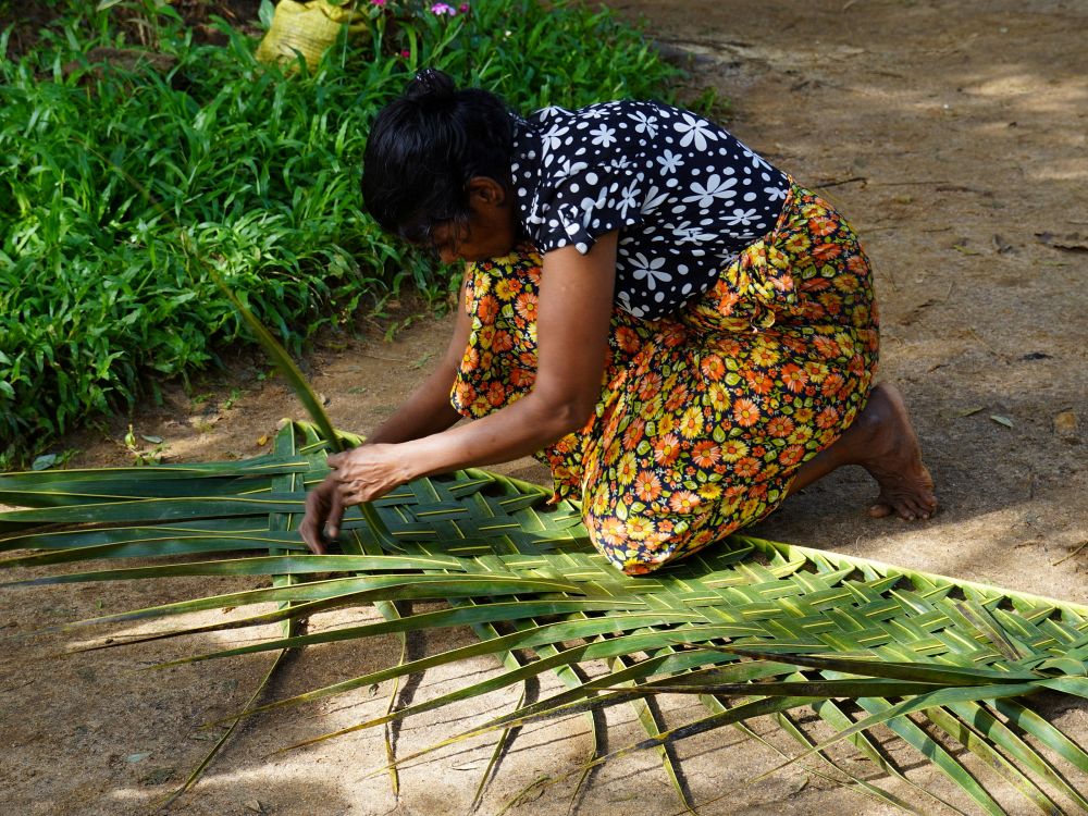 Opplev livet i en lokal landsby