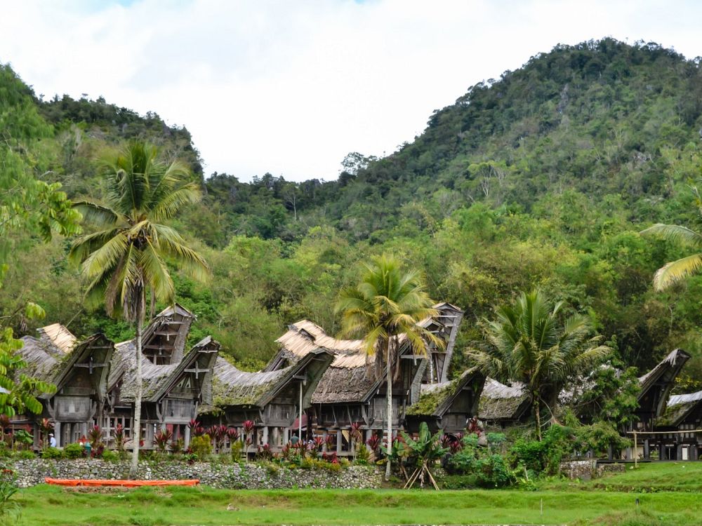 Tongkonan – Torajas tradisjonelle hus