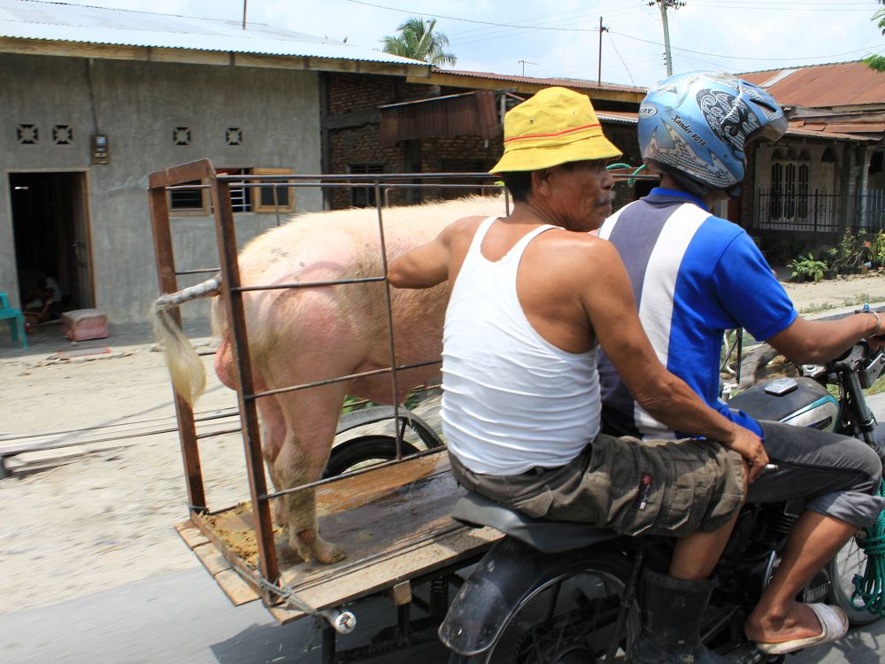 Landsbyliv og lokale markeder