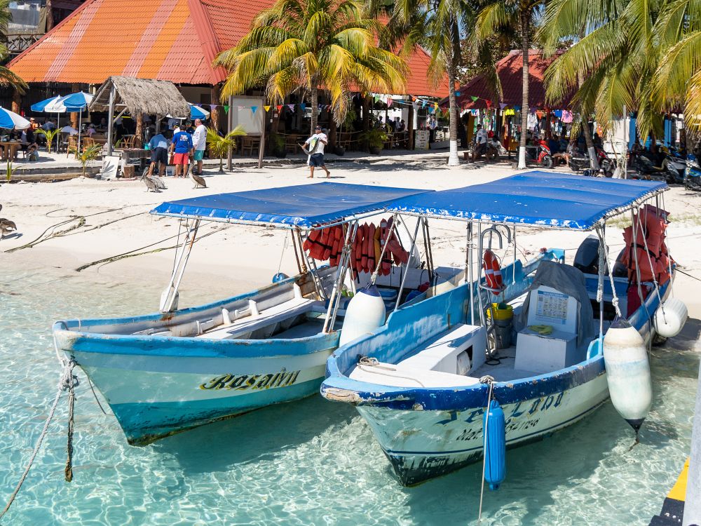 Palmer og turkisblått hav på Isla Mujeres